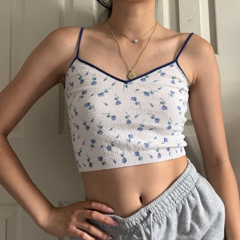 ZARA Ivory Blue Floral Sleeveless Cropped